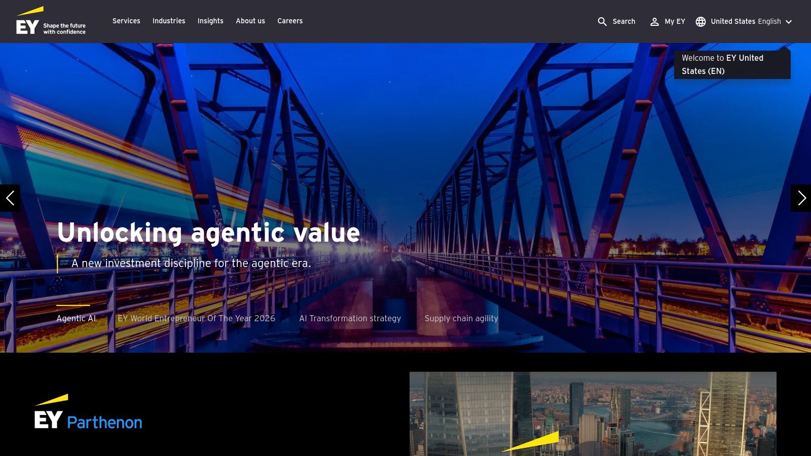 EY US (Ernst & Young)