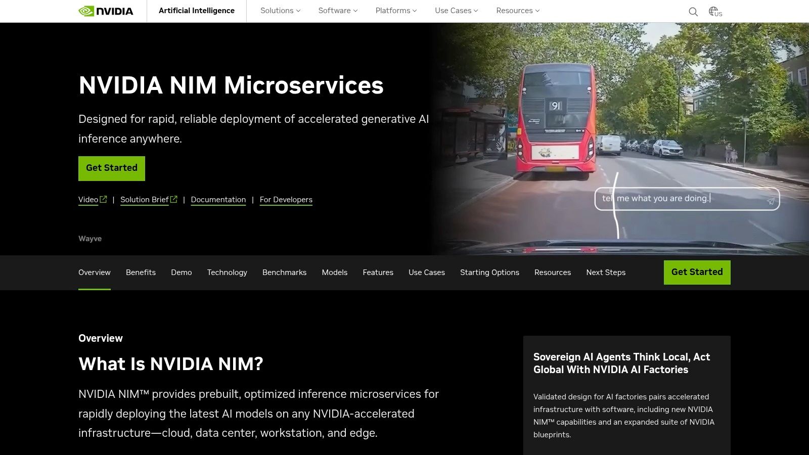 NVIDIA NIM (NIM microservices)